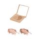 Paese Selfglow Bronzing Powder Light 6 gm - Highlighters & Illuminators