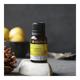 Soulflower Essential Oil - Lemon 15 ml - Essential Oils