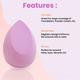 Bronson Beauty Blend Sponge With Holder Case For Liquid Cream And Powder Color May Vary 1's - Sponges & Applicators