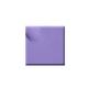 Colorbar Vegan Nail Lacquer-Lilac Luv-067 8 ml - Nail Polish