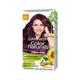 Garnier Color Naturals Creme hair color, Shade 3.16 Burgundy 105.6 gm - Crème