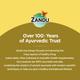 Zandu Chyavanprashad Sugar Free Revitalizer 900 gm - Chyawanprash