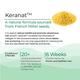 Wellbeing Nutrition Melts Hair Fall Control Keranat and Zinc- Plant-Based Hair Loss Support (30 Strips) - Hair & Skin