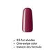 Elle 18 Nail Pops 188 5 ml - Nail Polish
