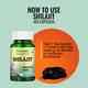 Morpheme Remedies Shilajit 500mg Extract 60's - Herbal Dietary Supplement