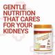 PentaSure DLS Dialysis Care Powder - Vanilla Flavour 400 g - Vital Health
