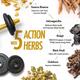 Kapiva Shilajit Gold Capsule 30's - Speciality Medicines