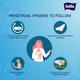 Bella Classic Regular Softi Wings Sanitary Pads 8's - Sanitary Napkins