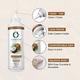 Organic Forest 100% VEGAN Pure Cold Pressed Coconut Oil for Hair & Skin 100 ml - Hair Oils
