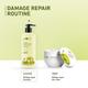 Plum Olive Plant Keratin Damage Repair Shampoo Gently Cleanses & Hydrates With Macadamia oil & Pro- Vitamin B5 250ml - Shampoos
