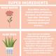 Nature Spell Rose Potion Aloe Vera Cleanser Makeup Remover 100 ml - Make Up Removers