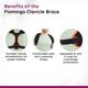 Flamingo Clavicle Brace (OC - 2018) (S) - Beige - Abdomen/Neck/Arm/Elbow Supports