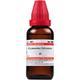 Dr.Willmar Schwabe Gymnema Sylvestre Ø Drops 30 ml - Mother Tincture