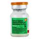 Neosporin H Ear Drops 5ml - Ear Conditions-EAA