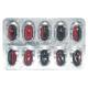 CALGROW FORTE Capsule 10's - Bone Metabolism-Age
