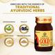 Baidyanath Vita Ex Gold Plus Capsule 20's - Sexual Healthcare
