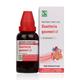 Dr.Willmar Schwabe Guatteria Gaumeri Q Mother Tincture 30 ml - Mother Tincture