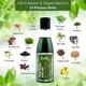 Globus Naturals Tea Tree Hair Oil 100 ml - Hair Oils