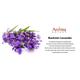Aroma Galaxy Reed Diffuser Oil - Kashmiri Lavender 1 litre - Carrier Oils