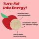 Plix The Plant Fix L-Carnitine Acv Effervescent Tablets Helps To Turn Fat Into Energy Unisex 100% 1's - Weight Loss