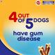 Pedigree DentaStix Sticks for Dogs (10-25 kg) 7's - Petfood