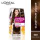 L'Oreal Paris Casting Creme Gloss Hair Color, 530 Praline Brown 159.5 Gm - Crème