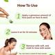 Mamaearth Tea Tree Oil Control Face Pack with Tea Tree & Salicylic Acid Normal to Oily Skin 200 gm - Face Packs