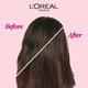 L'Oreal Paris Casting Creme Gloss Hair Color, 530 Praline Brown 159.5 Gm - Crème