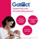 Galact Lactation Granules - Kesar Flavor 400 g - Nutritional Supplements