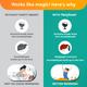 Himalaya PartySmart Capsule 5's - Speciality Medicines