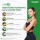 Vidaslim Meal Replacement Protein Health Shake Powder - Caffe Latte (Refill Pack) 500 g - Protein Drink