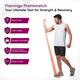 Flamingo Flamistretch Exercise Band - Green Colour (OC-2209) - Abdomen/Neck/Arm/Elbow Supports