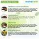Mamaearth CoCo Body Butter For Dry Skin, For Winters, with Coffee & Cocoa for Deep Moisturization 200 gm - Body Butter