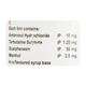 TERBUAID Syrup 100ml - Cough And Cold-Cou