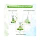 Mamaearth Leaves of Clarity Essence Serum For Acne Prone with Neem & Salicylic Acid for Clear Skin 30 ml - Face Serum