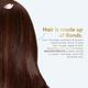 Dove Peptide Bond Strength Shampoo 650 ml - Shampoos