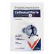 COLLASHOT FORTE NO ADDED SUGAR Powder 15g - Supplements-Sup
