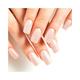 Lakme Absolute Gel Stylist Nail Color Ivory Dust 12 ml - Nail Polish