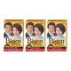 Bigen N30 Dark Brown 18g 3's - Powder