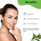 Pilgrim Tea Tree Essential Oil 10 ml - Essential Oils
