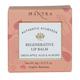 Mantra Green Apple Aloe and Almond Regenerative Lip Balm 8 gm - Lip Balms