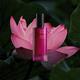 82E Lotus Splash Conditioning Cleanser with Lotus and Bioflavonoids 100 ml - Face Wash & Cleansers