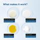 Be Bodywise Pigmentation Repair Lip Balm with SPF 30 8 gm - Lip Balms