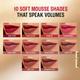 Lakme Double Duty Lip & Cheek Mousse Matte Lipstick & Soft Blush, Rose Touch,9gm - Liquid Lipsticks