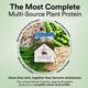 Wellbeing Nutrition Organic Vegan Plant Protein Isolate - Belgian Dark Chocolate 907 gm - Protein Drink