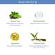 The Moms Co. Natural Green Tea Face Cream with Aloe Vera and Niacinamide Moisturizes and Controls Acne 50gm - Face Moisturizers