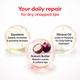 Lipz SPF 15 Lip Moisturiser Cream 9Gm - Dry Skin-Emo