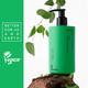 Innisfree Isle Number Body & Hand Wash (Seize The Moment) 300 ml - Shower Gels & Body Wash