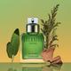 Calvin Klein Eternity Edp M Edp 100 ml - Men Perfumes (Edt/Edp)
