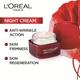 L'Oreal Paris New Revitalift Moisturizing Night Cream 50 ml - Night Cream